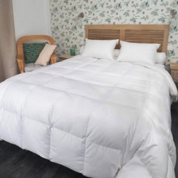 Couette oie Mi-saison