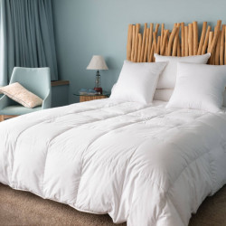 Couette Été canard